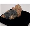 Image 5 : Tyrone Poncho Zuni Carved Stone Eagle Fetish