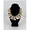 Image 1 : Native American Indian Elk Tooth Necklace