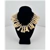 Image 2 : Native American Indian Elk Tooth Necklace
