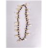 Image 2 : Plains Native American Indian Elk Tooth Necklace