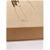 Image 2 : Rolin American Eagle Taos New Mexico Print