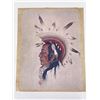 Image 1 : Woody Crumbo Black Owl Print