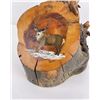 Image 3 : Painted Wood Tree Stump