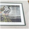 Image 2 : Robert Bateman Duck Stamp Print