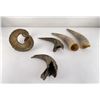 Image 5 : Collection of Montana Frontier Found Horns