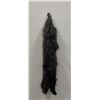 Image 1 : Beautiful Ranch Silver Fox Fur Pelt Taxidermy #21