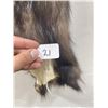 Image 3 : Beautiful Ranch Silver Fox Fur Pelt Taxidermy #21