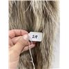 Image 3 : Montana Taxidermy Raccoon Pelt #29