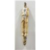Image 2 : Beautiful Ranch Red Fox Fur Pelt Taxidermy #51
