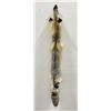 Image 1 : Beautiful Ranch Cross Fox Fur Pelt Taxidermy #65