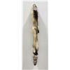 Image 2 : Beautiful Ranch Cross Fox Fur Pelt Taxidermy #65