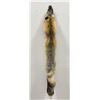 Image 1 : Beautiful Ranch Cross Fox Fur Pelt Taxidermy #64