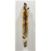 Image 1 : Beautiful Ranch Red Fox Fur Pelt Taxidermy #56