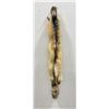 Image 2 : Beautiful Ranch Red Fox Fur Pelt Taxidermy #56