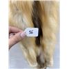 Image 3 : Beautiful Ranch Red Fox Fur Pelt Taxidermy #56