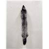 Image 1 : Beautiful Ranch Silver Fox Fur Pelt Taxidermy #66