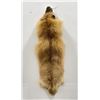 Image 1 : Beautiful Ranch Red Fox Fur Pelt Taxidermy #60