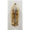 Image 2 : Beautiful Ranch Red Fox Fur Pelt Taxidermy #60