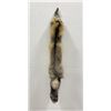 Image 1 : Beautiful Ranch Cross Fox Fur Pelt Taxidermy #57