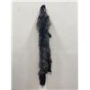 Image 1 : Beautiful Ranch Silver Fox Fur Pelt Taxidermy #81
