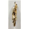 Image 2 : Beautiful Ranch Red Fox Fur Pelt Taxidermy #75
