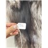 Image 3 : Beautiful Ranch Silver Fox Fur Pelt Taxidermy #76