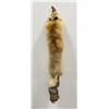 Image 1 : Beautiful Ranch Red Fox Fur Pelt Taxidermy #79