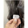 Image 3 : Beautiful Ranch Silver Fox Fur Pelt Taxidermy #71