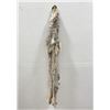Image 2 : Beautiful Alaskan Lynx Fur Pelt Taxidermy #33