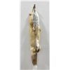 Image 2 : Beautiful Ranch Red Fox Fur Pelt Taxidermy #44