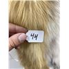 Image 3 : Beautiful Ranch Red Fox Fur Pelt Taxidermy #44