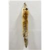 Image 1 : Beautiful Ranch Red Fox Fur Pelt Taxidermy #42