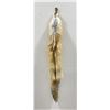Image 2 : Beautiful Ranch Red Fox Fur Pelt Taxidermy #42