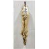 Image 2 : Beautiful Ranch Red Fox Fur Pelt Taxidermy #48