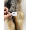 Image 3 : Beautiful Ranch Cross Fox Fur Pelt Taxidermy #40