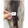 Image 3 : Beautiful Ranch Silver Fox Fur Pelt Taxidermy #46