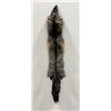 Image 1 : Beautiful Ranch Cross Fox Fur Pelt Taxidermy #38