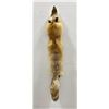 Image 1 : Beautiful Ranch Red Fox Fur Pelt Taxidermy #45
