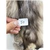 Image 3 : Beautiful Ranch Silver Fox Fur Pelt Taxidermy #50