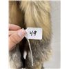 Image 3 : Beautiful Ranch Cross Fox Fur Pelt Taxidermy #49