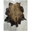Image 1 : Taxidermy Montana Buffalo Hide Robe Rug