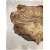 Image 2 : Taxidermy Montana Buffalo Hide Robe Rug