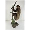 Image 1 : Rare Adult Taxidermy Climbing Sloth Mount
