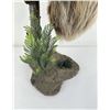 Image 2 : Rare Adult Taxidermy Climbing Sloth Mount