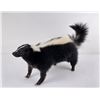 Image 1 : Taxidermy Montana Skunk Soft Mount