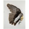 Image 1 : Turkey Feather Native American Indian Sculpture