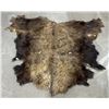Image 1 : Taxidermy Montana Buffalo Hide Robe Rug