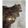 Image 4 : Taxidermy Montana Buffalo Hide Robe Rug