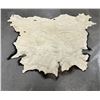 Image 6 : Taxidermy Montana Buffalo Hide Robe Rug