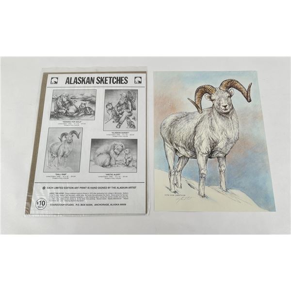 Doug Lindstrand Dall Sheep Print
